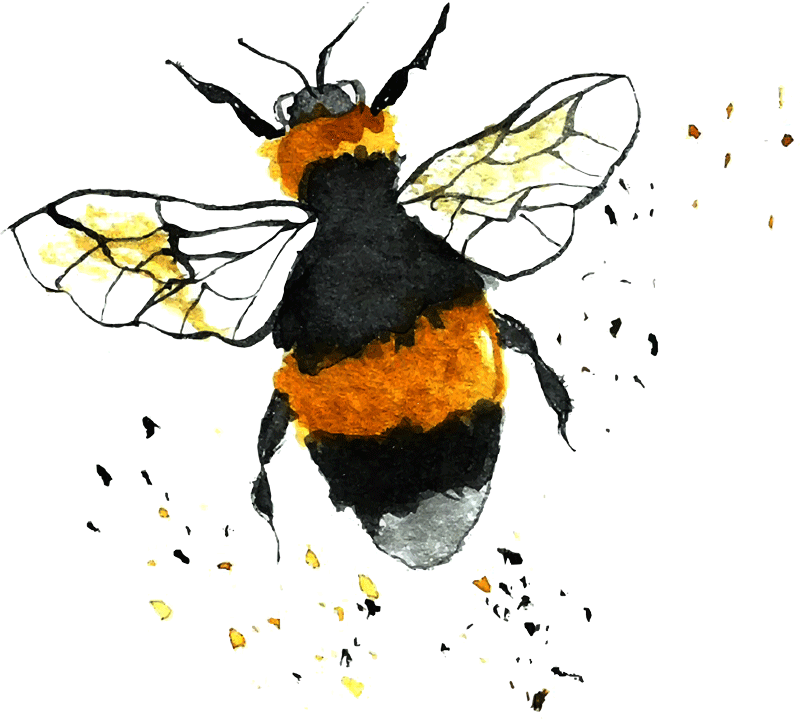 Pure Joie Pure Abeille
